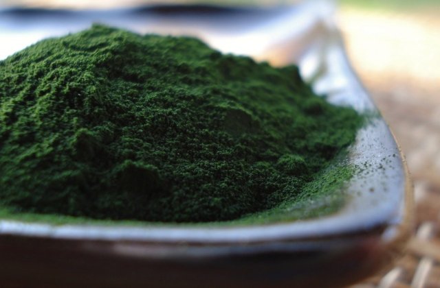 klorella1